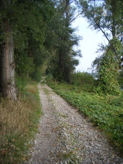 Photo La Maladrerie des Templiers